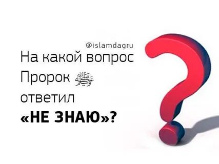 Загадка мусульманин