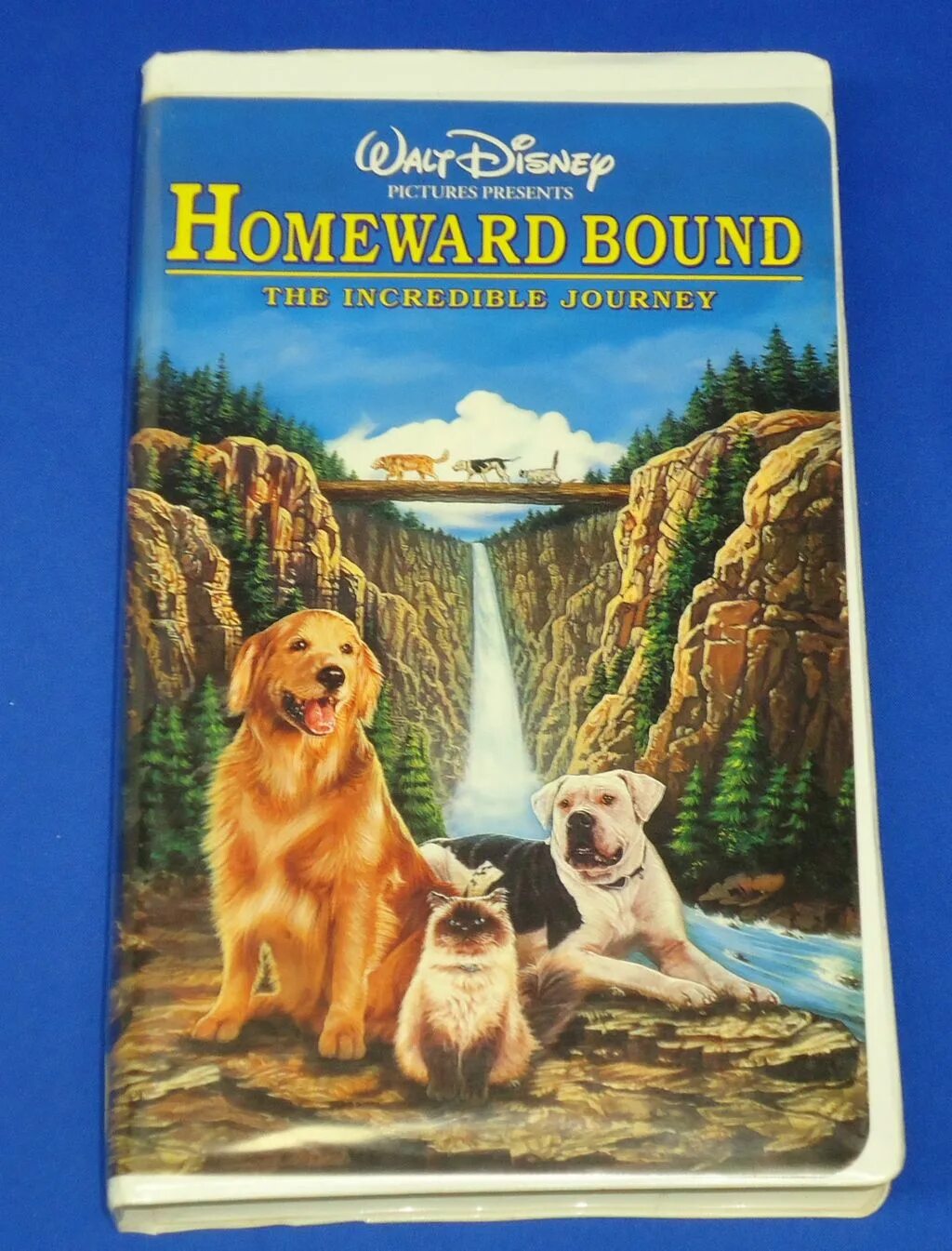 Homeward journey. Homeward bound: the incredible Journey. The incredible Journey book. Homeward bound: the incredible Journey 1993 poster.