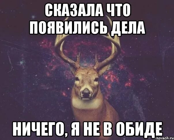 Дела нечего