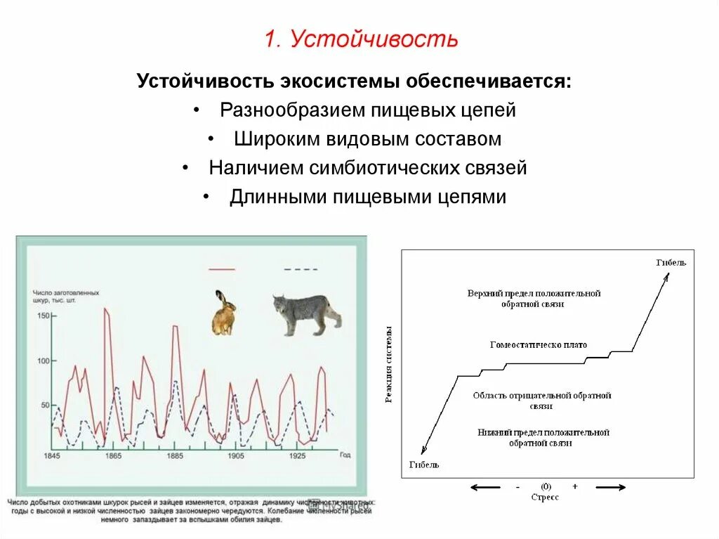 Устойчивость экосистемы. Устойчивость экосистемы обеспечивается. Виды устойчивости экосистем. Причины устойчивости биогеценоз.