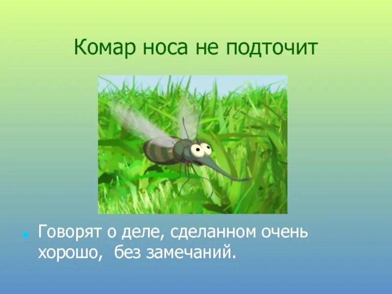 Дело не комар пословица. Комар носа не подточит смысл пословицы. Комар носа не подточит фразеологизм. Комар носа не подточит значение. Носа не подточит.