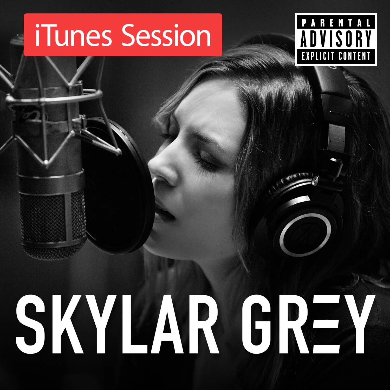 Музыка греет. Never grey. Музыка греет. Shade music. Skylar grey albums.