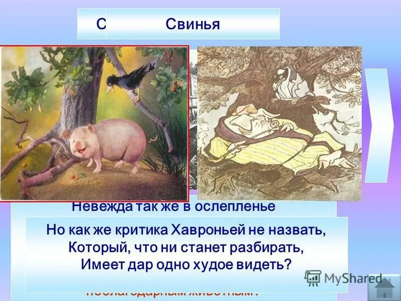 невежда также в ослепленье