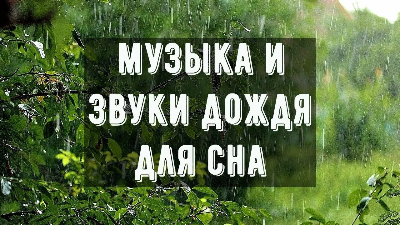 Шум дождя для сна релаксация. Шум дождя для сна. Звуки природы для сна успокаивающая. Медитация для сна и расслабления звуки природы.