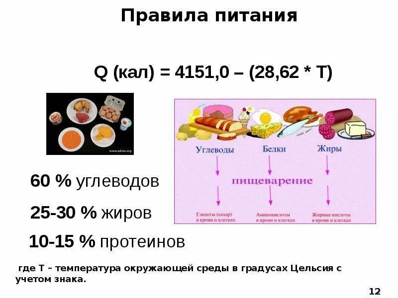 30 белка это сколько. 12 30 58 Белки жиры углеводы. БЖУ 12 белков 30 жиров. Рацион белки жиры углеводы. 60 Углеводов.