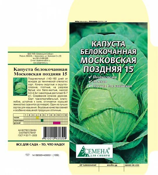 Капуста московская описание сорта отзывы. Капуста белокочанная Московская поздняя. Капуста б/к Московская поздняя 15 0,5г. Капуста БК Московская поздняя 15. Капуста Московская Московская поздняя.