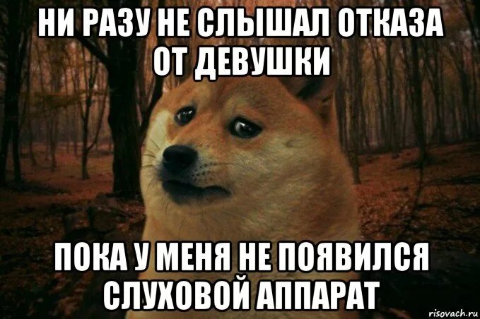 Ни разу ли не разу