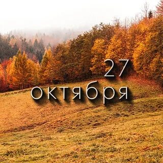 27 октября какой это