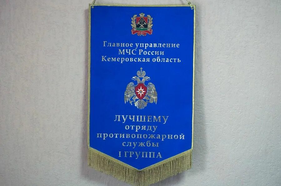 Управление мчс россии по кемеровской области. Государственный пожарный надзор Новокузнецкого района. Устав школы номер 31 Кемеровская область Кузбасс. Книги и пособия Кемеровской области.