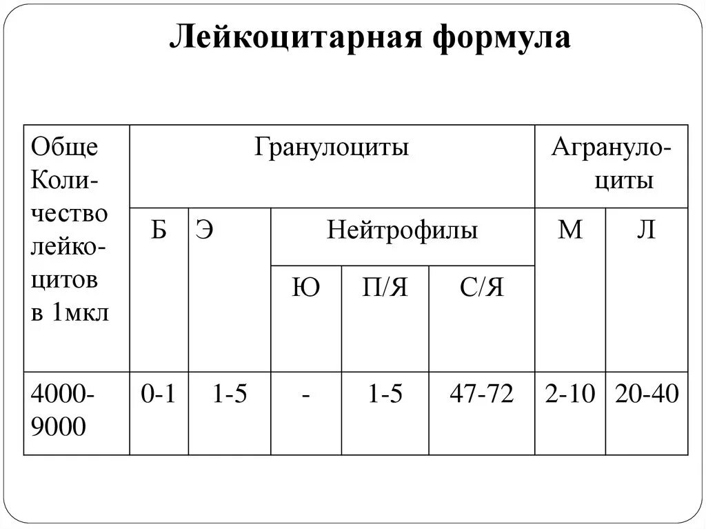 Лейкоцитов 0 что значит. Лейкоцитарная формула крови формула. Лейкоциты лейкоцитарная формула. Лейкоцитарная формула при заболеваниях. Лейкоцитарная формула здорового взрослого человека таблица.