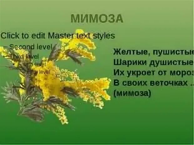 Желтые пушистые шарики душистые их укроет