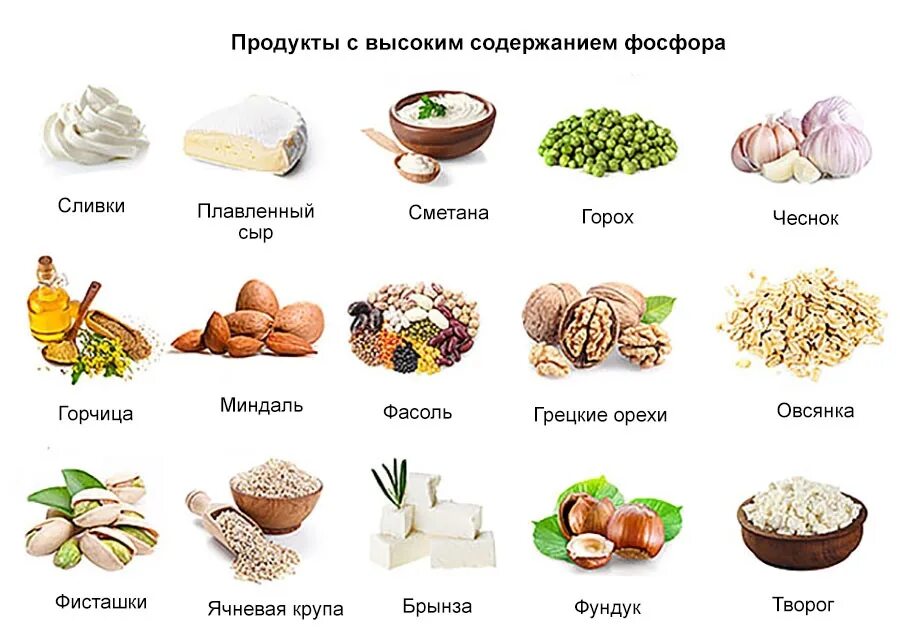 Содержание фосфора в продуктах питания. Продукты с высоким содержанием фосфора. продукты богатые кальцием для детей. диета при повышенном фосфоре. гойтрогены в каких продуктах.