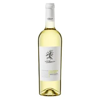 Malvasia