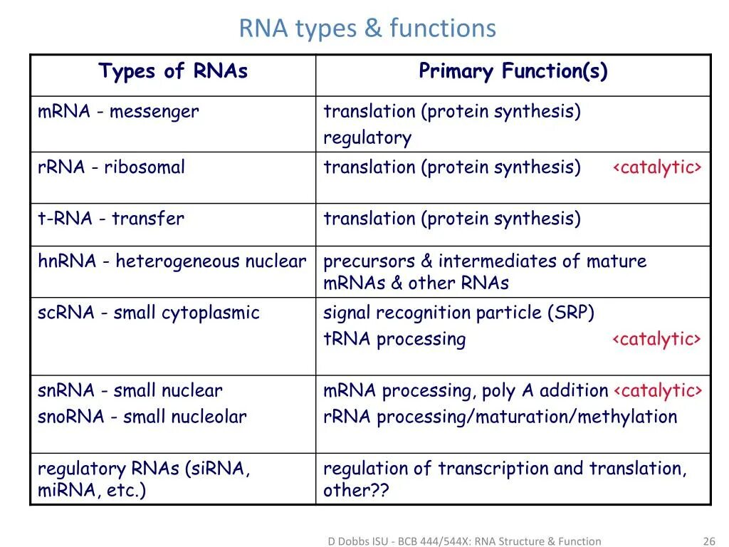 Функции each. Rna types. rna types and function. rna types structure. function of each type of rna.