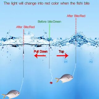 Smart fishing