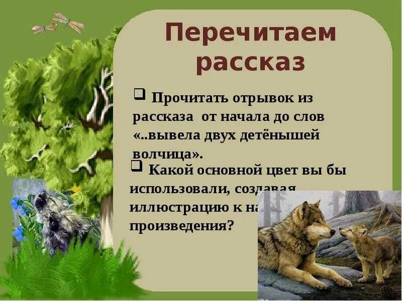 Троицкая кукушка о чем в нем говорится. Бунин Кукушка. Кукушка рассказ Бунина. Краткий пересказ Кукушка Бунин. Прочитать выразительно отрывок..