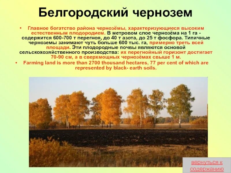 Главное богатство железные руды и плодородные почвы. Почвы Белгородской области. Сведения о почвах Белгородской области. Основные сведения о почвах Белгородской области. Типы почв Белгородской области.