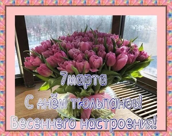 Цветы цветущие после тюльпанов. Март месяц тюльпанов. Март месяц тюльпанов. Март месяц тюльпанов. Март месяц тюльпанов.