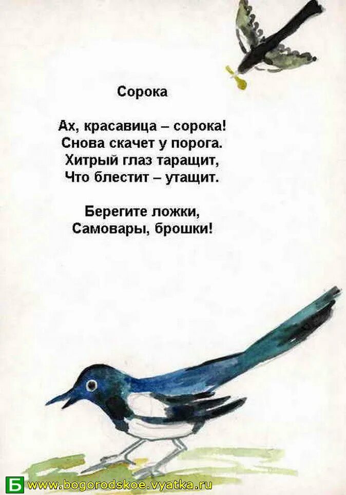 Стихотворение про птиц для детей. Стихи про птиц для детей. Стих про сороку. Стихи про птиц для малышей. Стихи про птиц для детей короткие