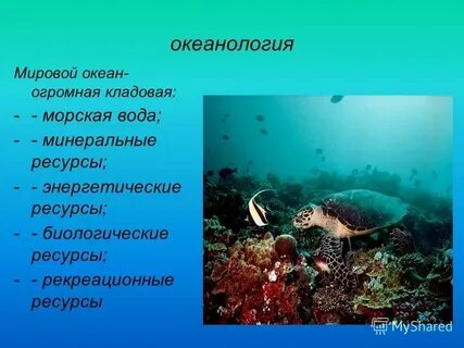 Какая наука изучает океаны и моря
