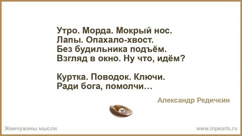 Ради бога бога ради удали в тг
