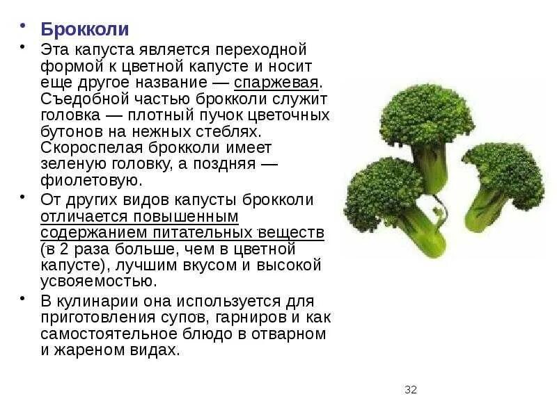 Как давать брокколи. Строение брокколи. капуста брокколи. брокколи структура. соцветие брокколи.
