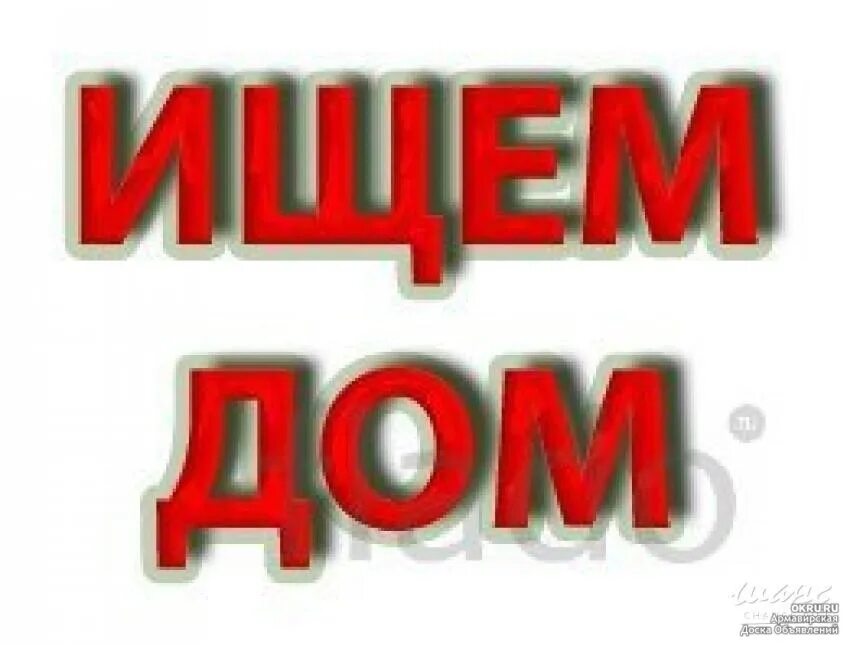 Срочно куплю от собственника. Ищу дом. Надпись продается. Куплю дом картинка. Куплю картинка.