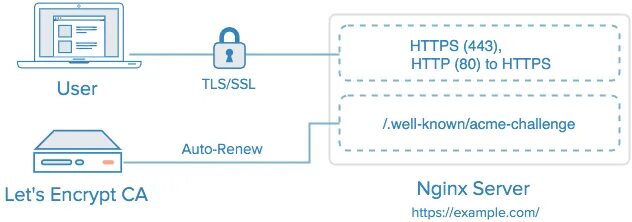 Nginx ssl certificate. SSL TLS сертификаты. Сертификата Let’s encrypt SSL. Nginx TLS. Ev SSL/TLS.