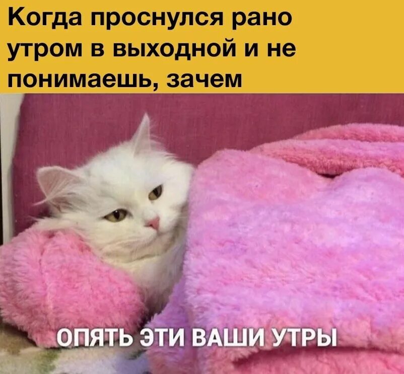 Снова от твоих сообщений