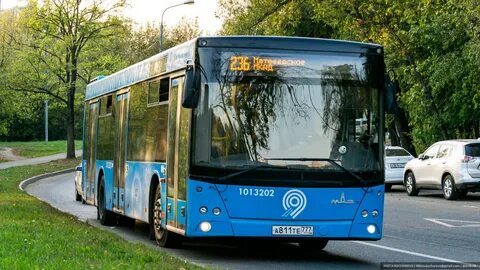 Маршрут 236 автобуса спб