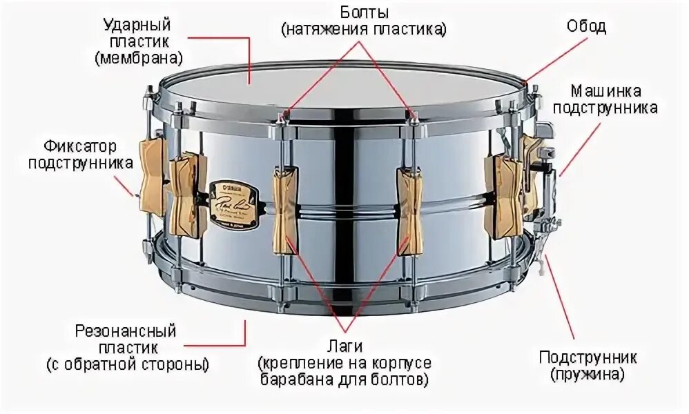 Малый барабан чертеж. Малый барабан устройство. Демпфер резонансного пластика малый барабан. Drum cam малый барабан.