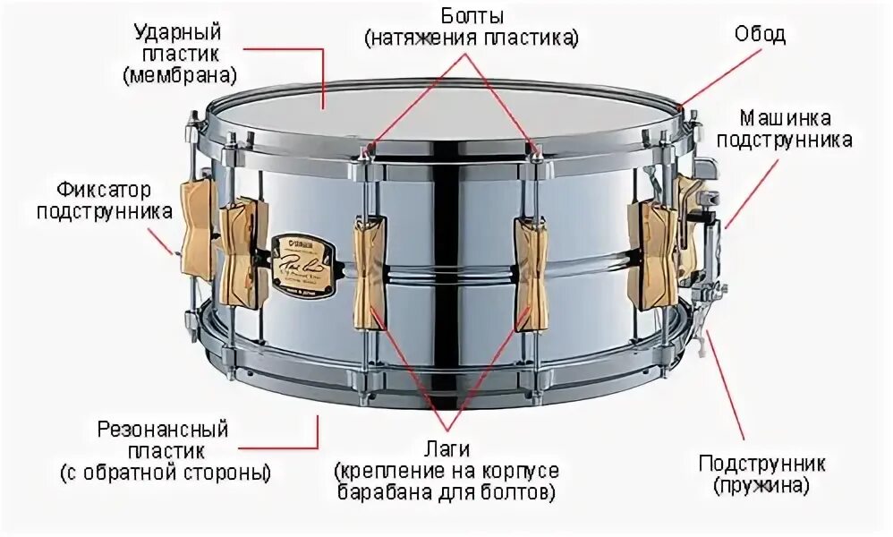 Малый барабан чертеж. Малый барабан устройство. Демпфер резонансного пластика малый барабан. Drum cam малый барабан. Включи функцию барабан