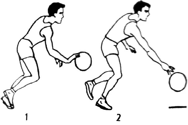 Ведение мяча с изменением высоты отскока. Ведение мяча в баскетболе правой и левой рукой. Техника ведения мяча в гандболе. Ведение мяча попеременно правой и левой рукой. Гандбол ведение мяча в движении.