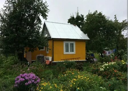 Старо дачи недорого