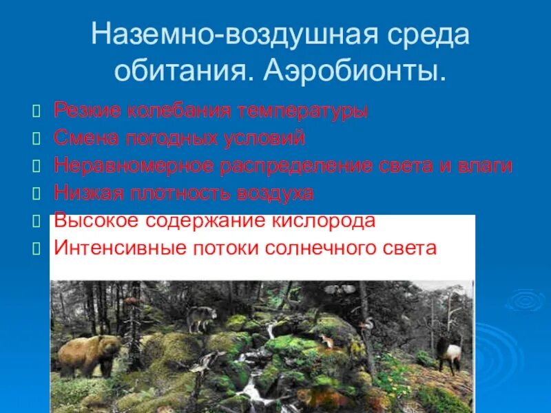 Свойства наземно воздушной среды обитания 5. Аэробионты среда обитания. Воздушно-наземная среда обитания. Наземно-воздушная среда обитания. Условия наземно-воздушной среды обитания.