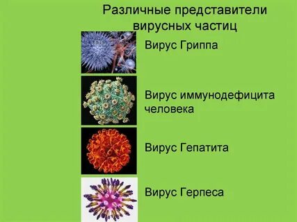 Система различных представителей