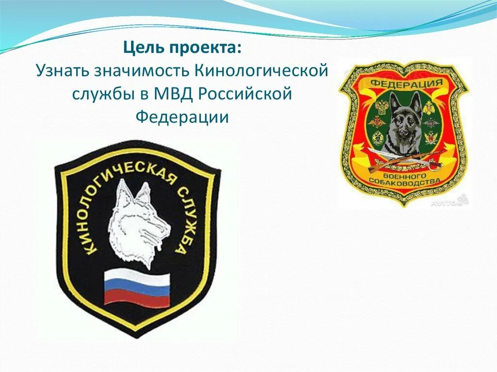 Структура кинологической службы. Шевроны кинологической службы полиции.