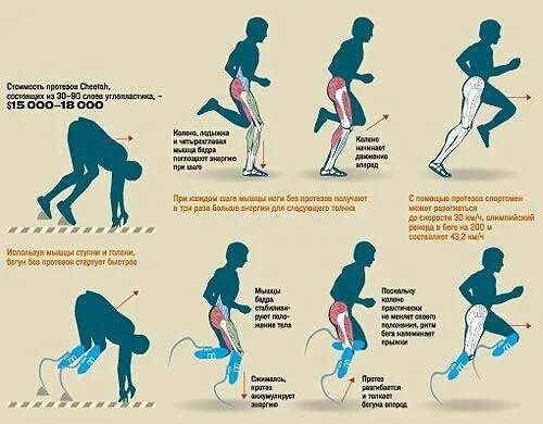 Положение рук во время бега. Мышцы задействованные при беге. Правильная техника бега. Правильная техника при беге. Правильное положение стопы при беге.