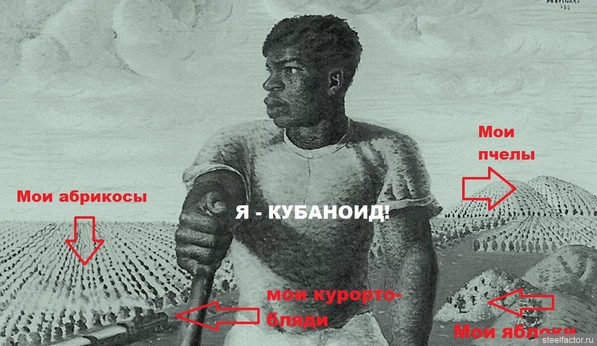 Типичный кубаноид фото. Кубаноид. Приколы про кубаноидов. Типичный кубаноид. Самка кубаноида.