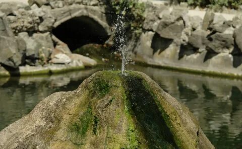 Water fountain перевод