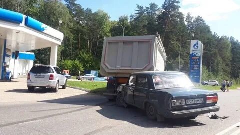 Дтп льва
