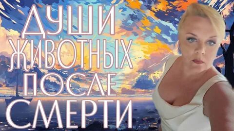 Лилия нор ютуб
