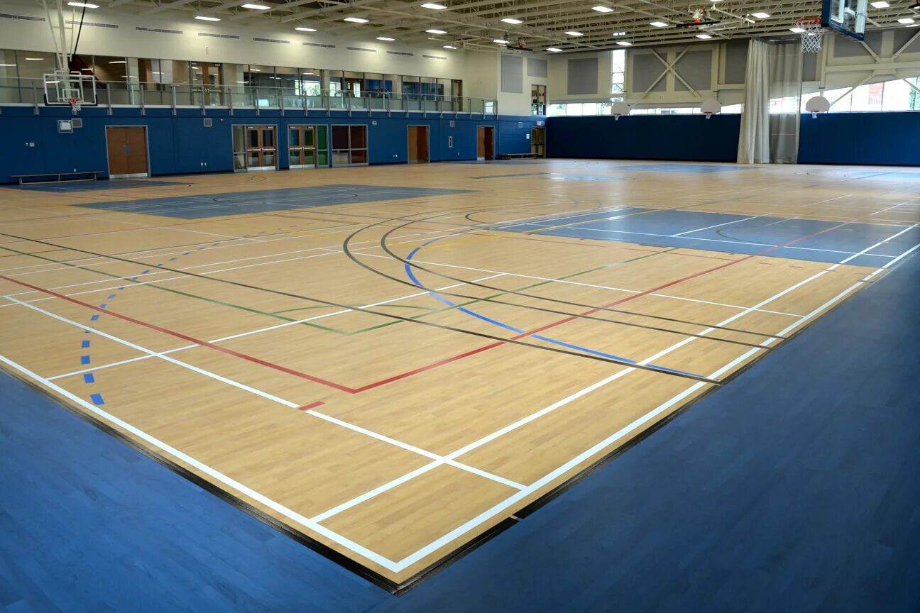 Tarkett omnisports action 65. Omnisports action 65. Omnisports action 65 - grey. Спортивный линолеум tarkett omnisports speed. Спортивный линолеум таркетт.