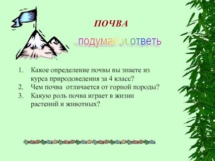 Какая роль почвы в жизни растений