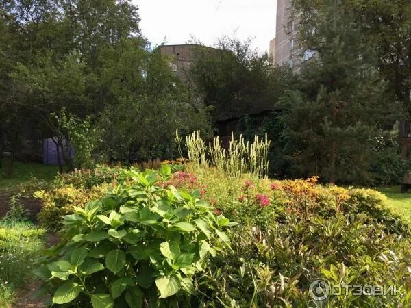 Станция юннатов ул юннатов. Станция юннатов москва ул юннатов. улица юннатов станция юных натуралистов. сад юннатов рязань. парк юннатов красноярск.