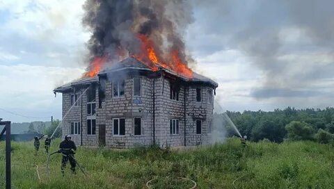 Чп новгородская область