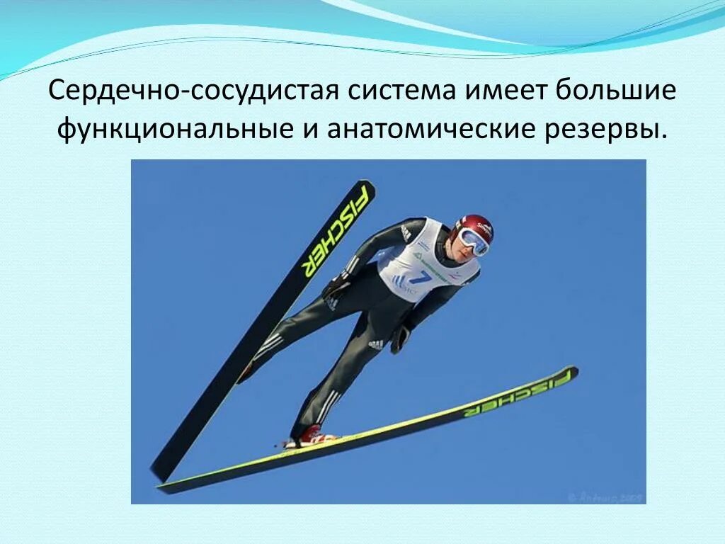 Лыжный спорт включает. Зимние виды спорта. виды лыжного спорта. лыжный спорт название. разновидности лыжных видов спорта.