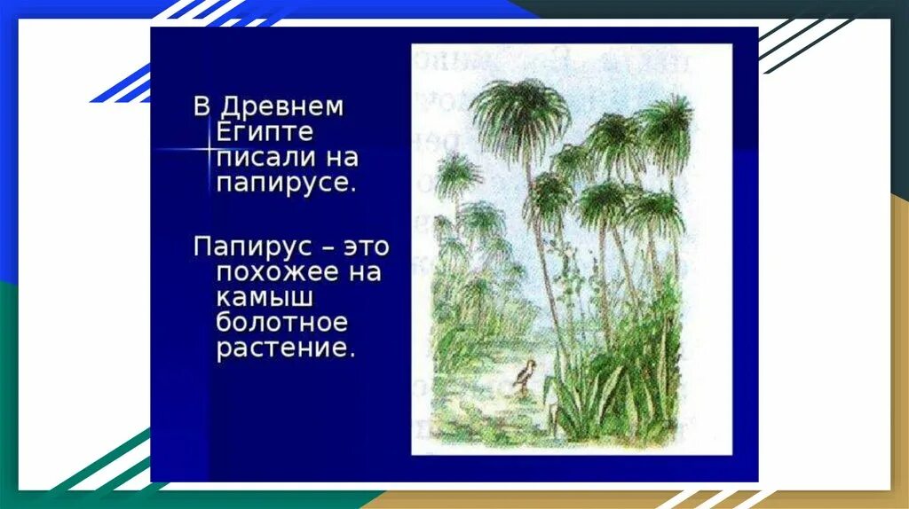 Материал для письма сделанный из тростникового растения