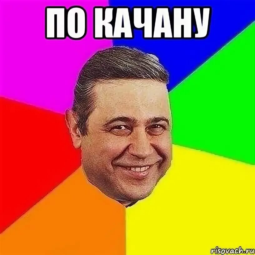 Качан мем. Мемы с хачиками. Кацуки бакугоу шпиц. Качан мем. Салам классташтар.