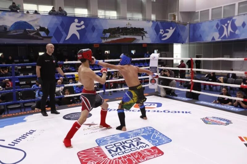 Смешанные единоборства подростки. Союз mma россии. Мма 17. Амаев mma. Мма 17.